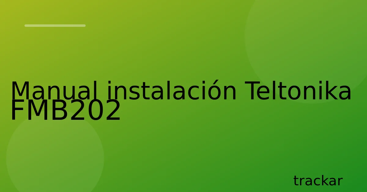 Manual instalación Teltonika FMB202
