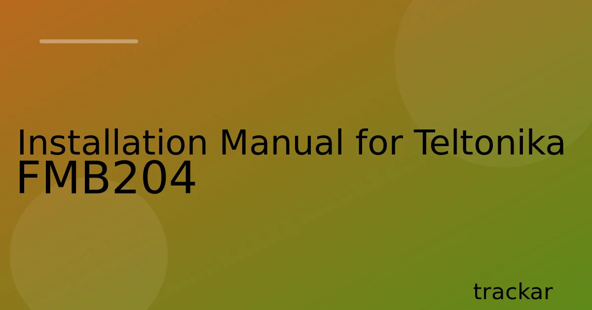 Installation Manual for Teltonika FMB204