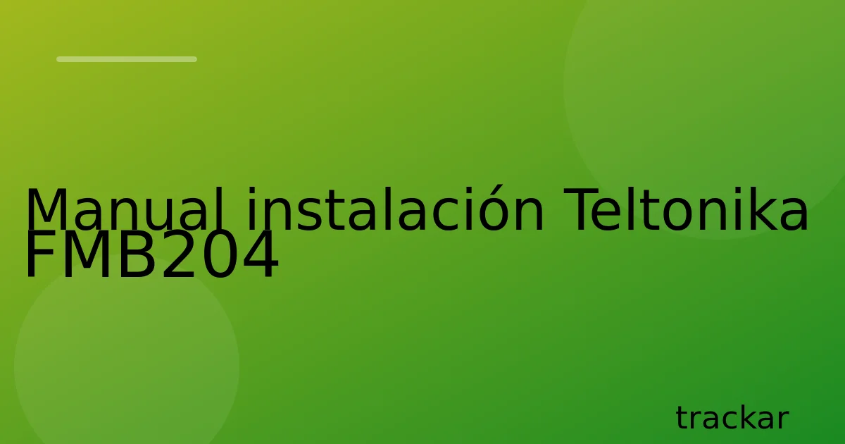 Manual instalación Teltonika FMB204